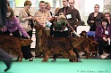 Crufts2011 746